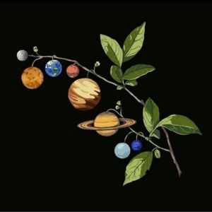 Meet your Posher, Nikki